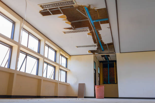 Best Water damage restoration process  in Eastport, NY