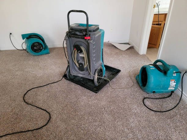 Best Water damage contractors near me  in Eastport, NY