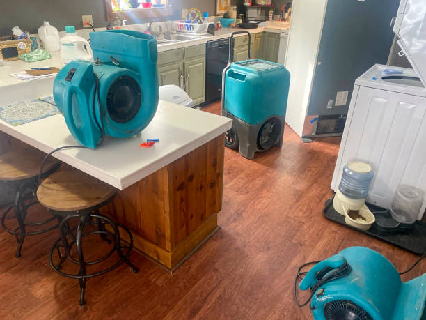 Best Sewage cleanup and water damage restoration  in Eastport, NY