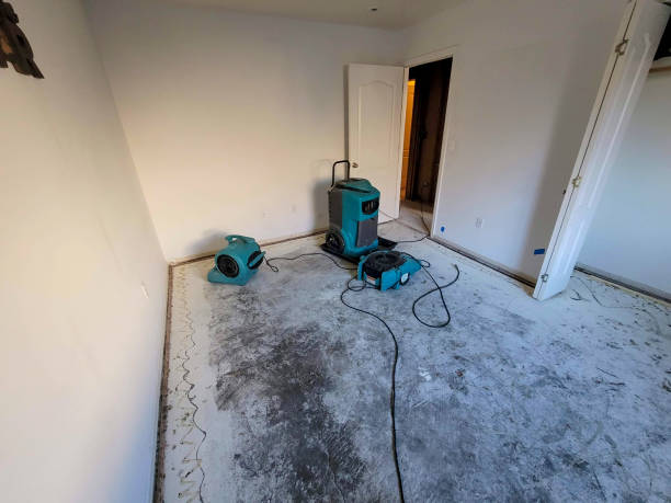 Best Flood restoration services  in Eastport, NY