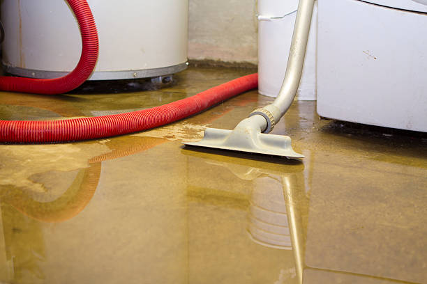 Best Commercial water damage restoration  in Eastport, NY