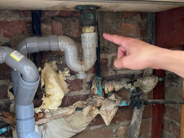 Best Water damage repair service  in Eastport, NY