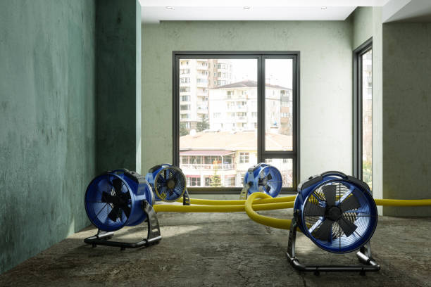 Water damage restoration experts in Eastport, NY