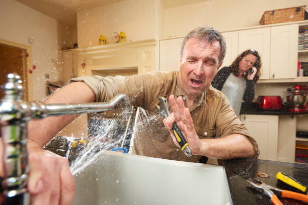 Best Flooded house restoration  in Eastport, NY